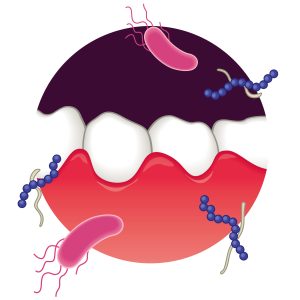 口腔内細菌